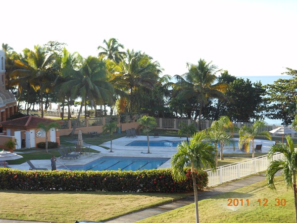 View from the Apartment